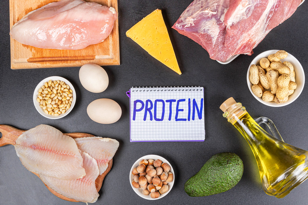 Proteiner: Kroppens byggesteiner og viktige funksjoner