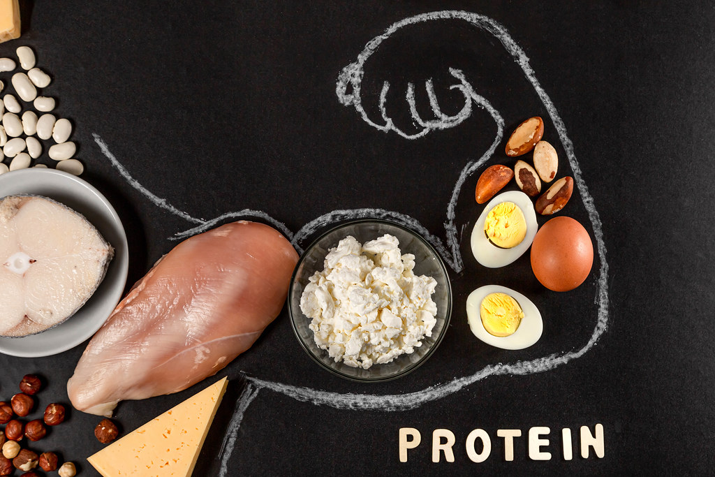 Hvorfor ‌trenger vi proteiner?